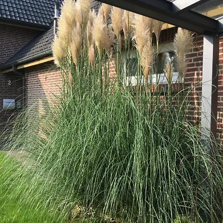 An Der Au Lemkendorf